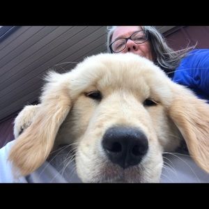 Meet your Posher, Katherine